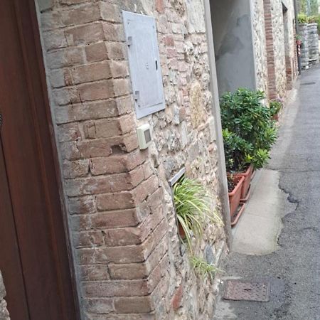 "La Casa Di Maria Luce" Con Terrazza Panoramica Apartment Gaiole in Chianti Bagian luar foto