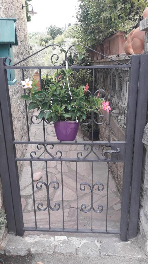 "La Casa Di Maria Luce" Con Terrazza Panoramica Apartment Gaiole in Chianti Bagian luar foto