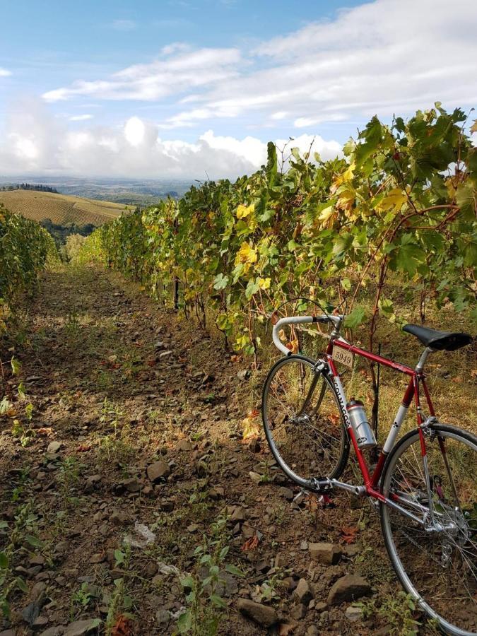 "La Casa Di Maria Luce" Con Terrazza Panoramica Apartment Gaiole in Chianti Bagian luar foto