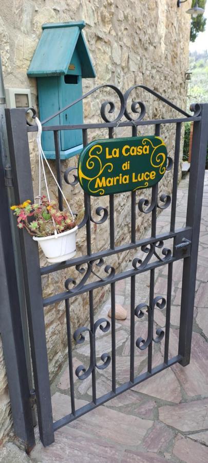 "La Casa Di Maria Luce" Con Terrazza Panoramica Apartment Gaiole in Chianti Bagian luar foto